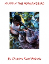 Hannah the Hummingbird