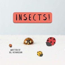 Insects!