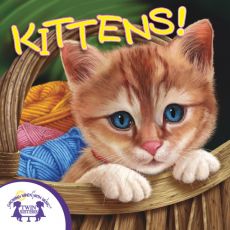 Know It Alls - Kittens Know It Alls - Kittens
