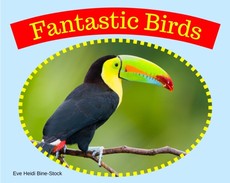 Fantastic Birds Fantastic Birds