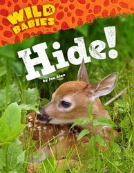Hide!