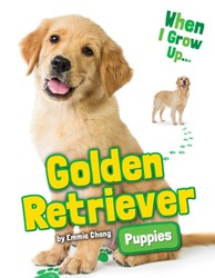 Golden Retriever Puppies