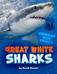 Great White Sharks