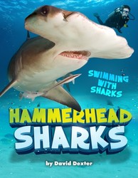 Hammerhead Sharks