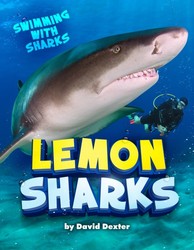 Lemon Sharks Lemon Sharks