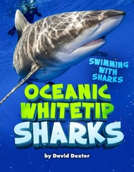 Oceanic Whitetip Sharks Oceanic Whitetip Sharks