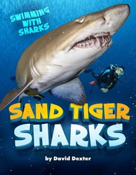 Sand Tiger Sharks