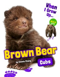 Brown Bear Cubs Brown Bear Cubs