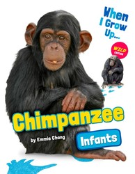Chimpanzee Infants