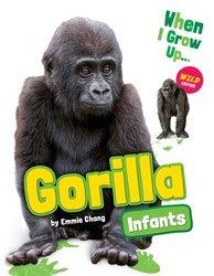 Gorilla Infants