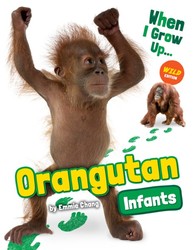 Orangutan Infants