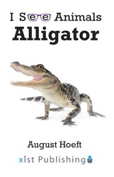 Alligator