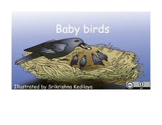 Baby Birds Baby Birds