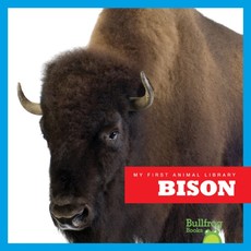 Bison Bison