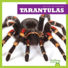 Tarantulas Tarantulas
