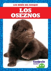 Los oseznos (Bear Cubs)
