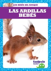 Las ardillas bebés (Squirrel Kits)
