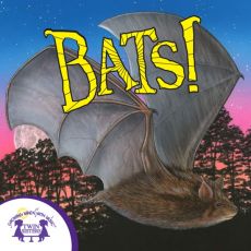 Know-It-Alls! Bats