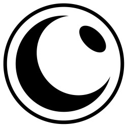 Noctus Design Agency