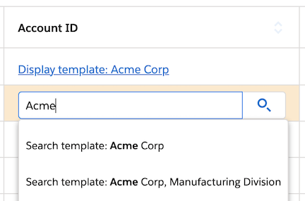 https://s3.us-west-2.amazonaws.com/developer.skuid.com/assets/v16.4.2/api-versions/v2/reuse/properties/img/Display-Search-Runtime.png