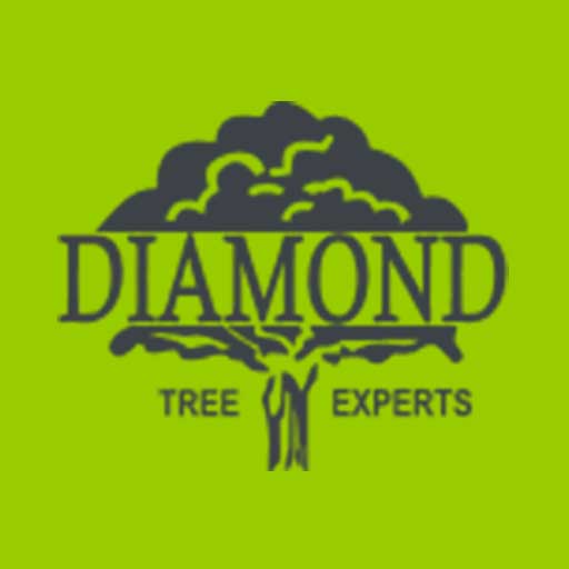 Diamond Tree Experts