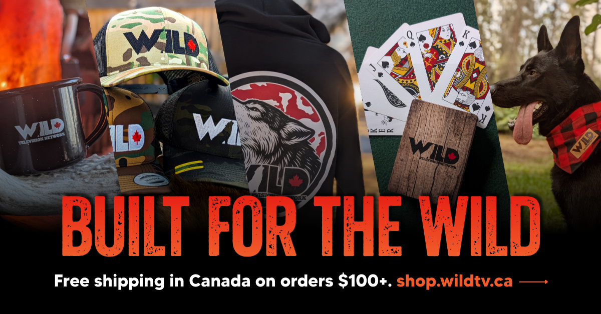 shopify_shop.wildtv.ca