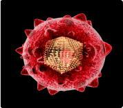 Hepatite C