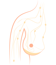 biopsia de ganglios linfáticos / disección de ganglios linfáticos axilares