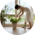Si te gusta tener plantas dentro del hogar