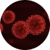 Infecciones cerebrales producidas