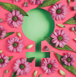 ¿Qué es la menopausia?