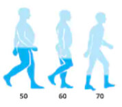 Testosterona en adultos