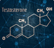 Testosterona