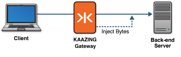 Protocol Injection