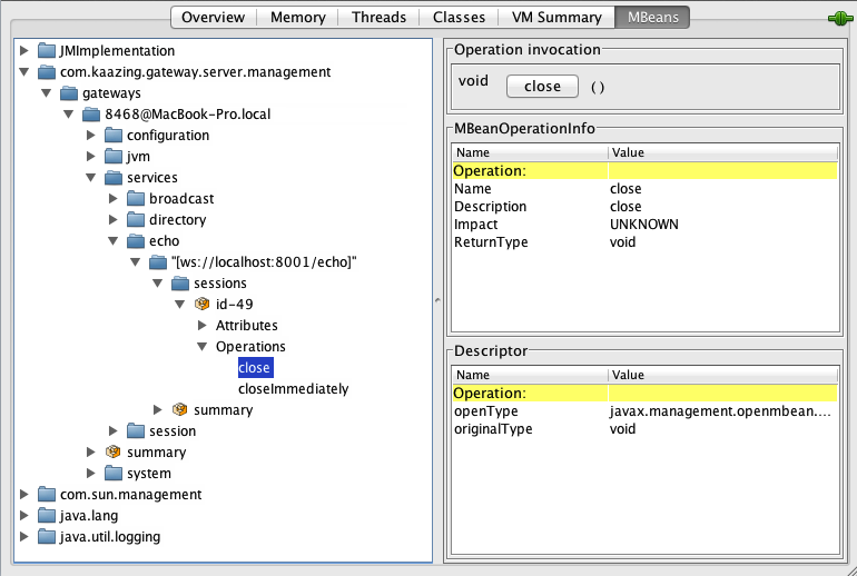 This screenshot shows the JConsole GUI displying the service > echo > ws://localhost:8001/echo > sessions > Operations path. Two operations are available under Operations: close and closeImmediately