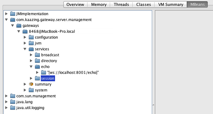 JConsole session