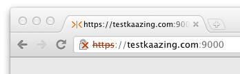 A browser displays a warning stating that the certificate is not trusted