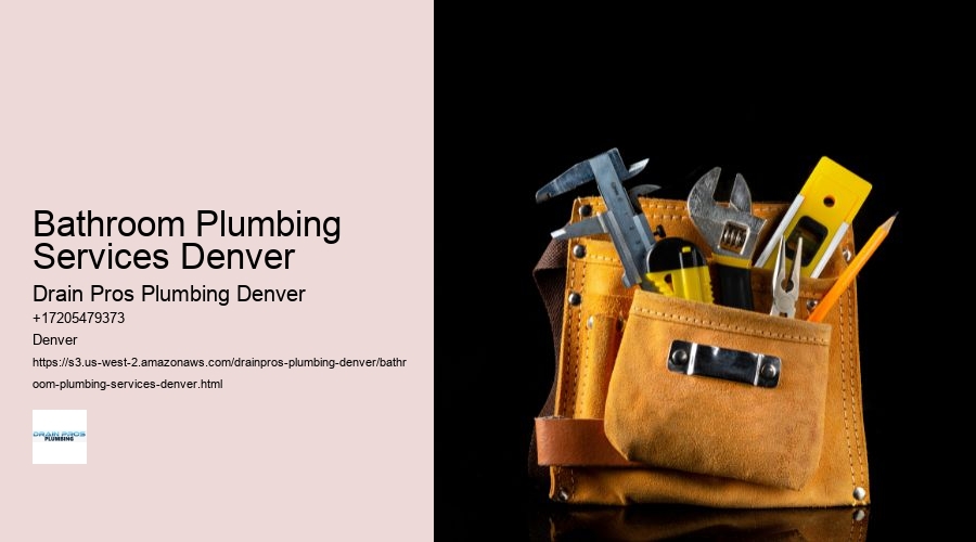 Bathroom Plumbing Services Denver  