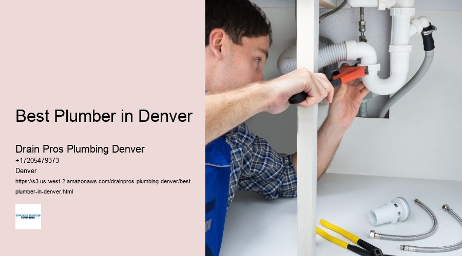 Best Plumber in Denver  