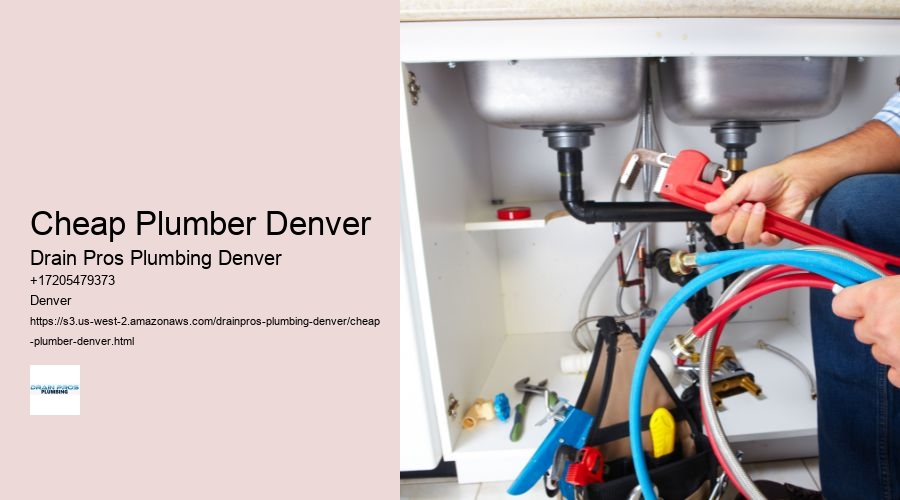 Cheap Plumber Denver  