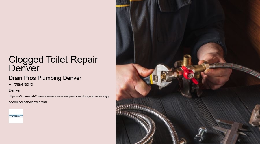 Clogged Toilet Repair Denver  