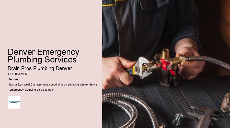 Denver Emergency Plumbing Services  