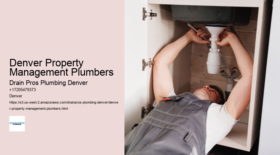 Denver Property Management Plumbers  