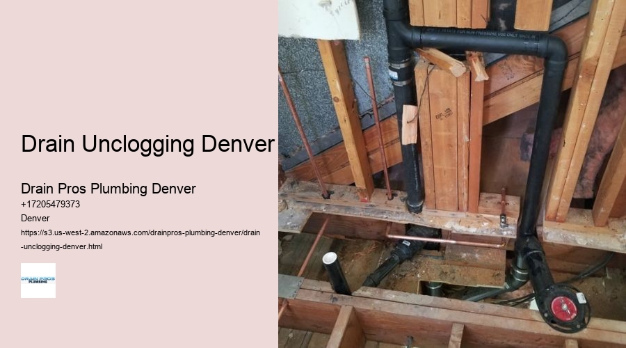 Drain Unclogging Denver  