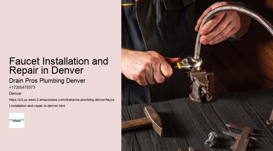 Faucet Installation and Repair in Denver