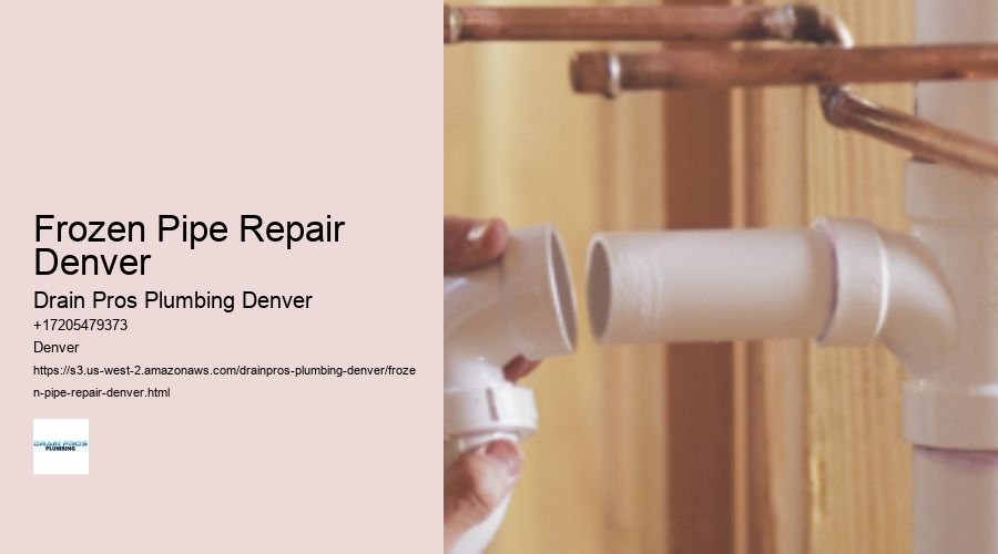Frozen Pipe Repair Denver  
