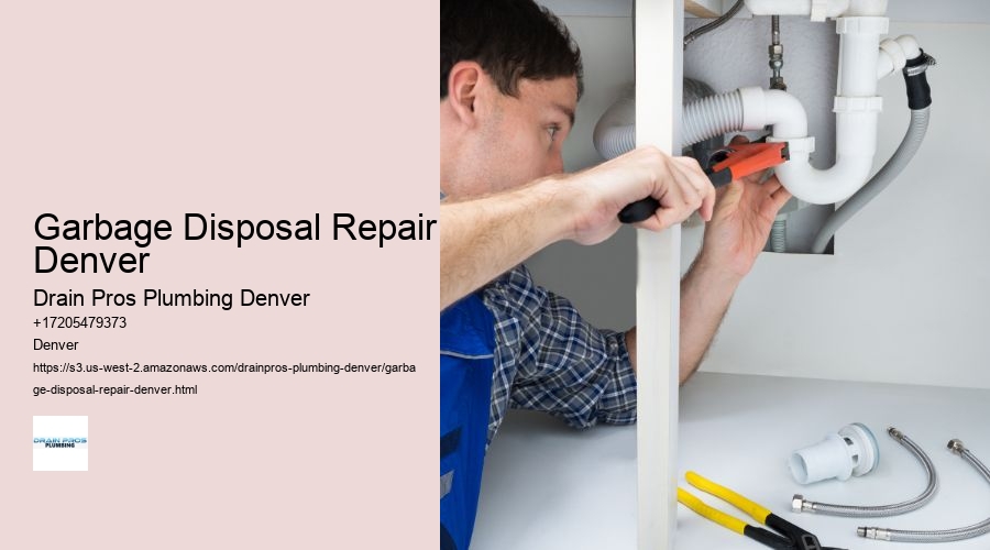 Garbage Disposal Repair Denver  