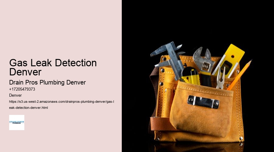 Gas Leak Detection Denver  