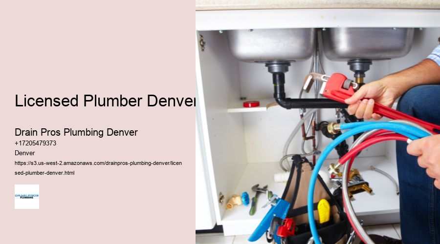 Licensed Plumber Denver  