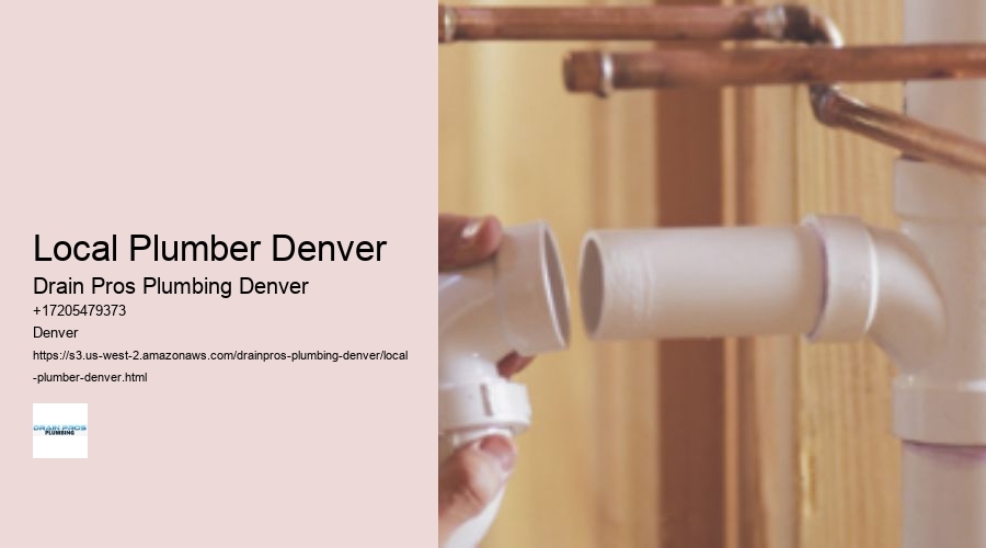 Local Plumber Denver  